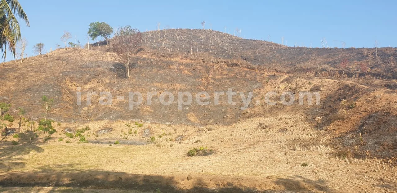 Tampah Hills Land (1.5 Hectares)