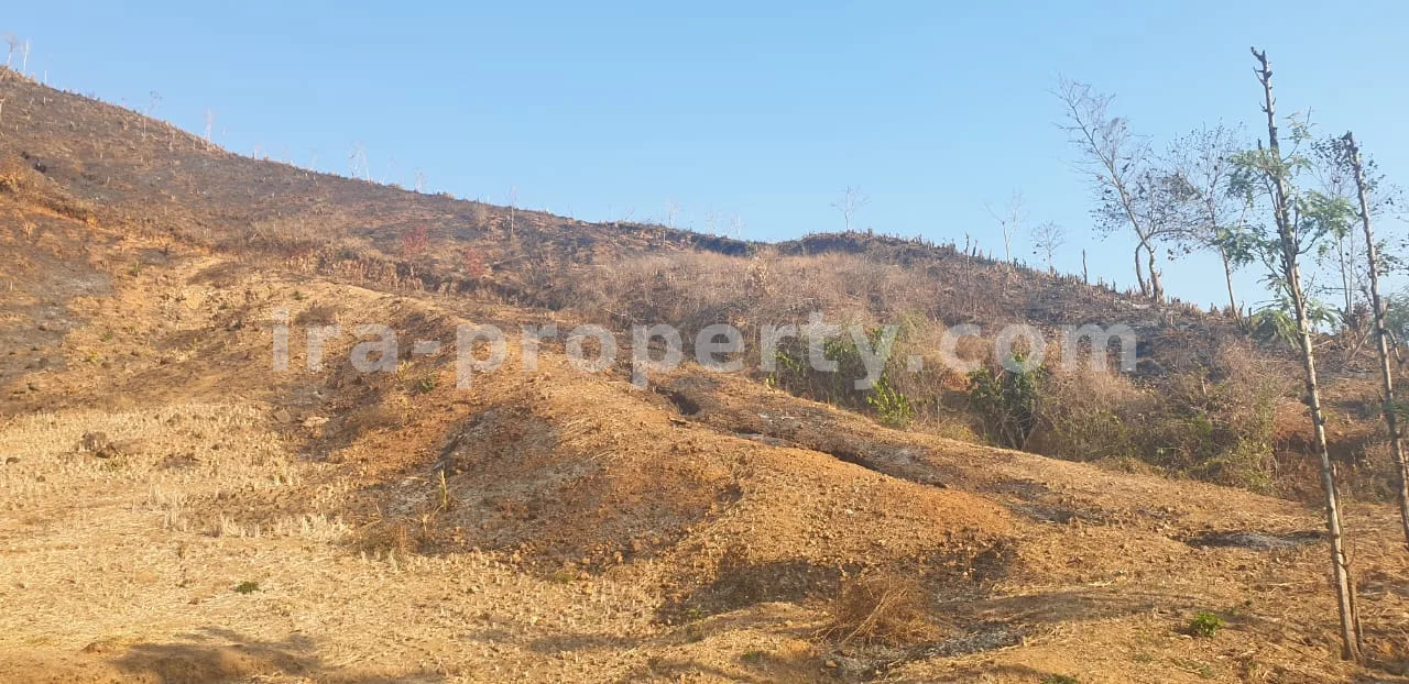 Tampah Hills Land (1.5 Hectares)