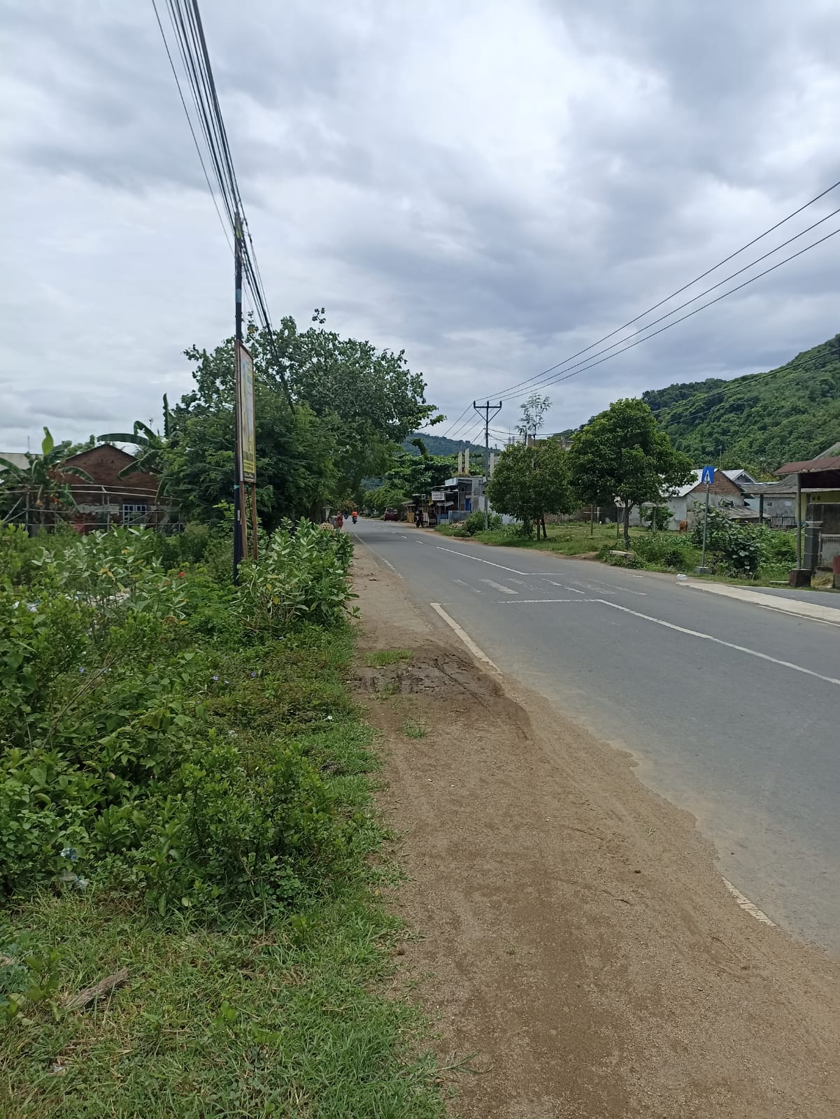 Strategic Roadside Land in Sekotong – 3,390 m²