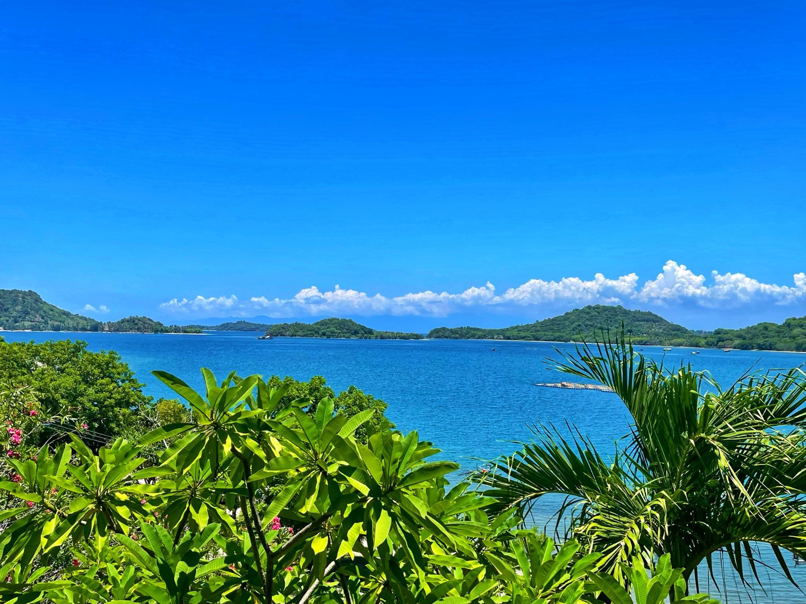 Sekotong Beachfront Land – Roadside Location, 19,866 m²