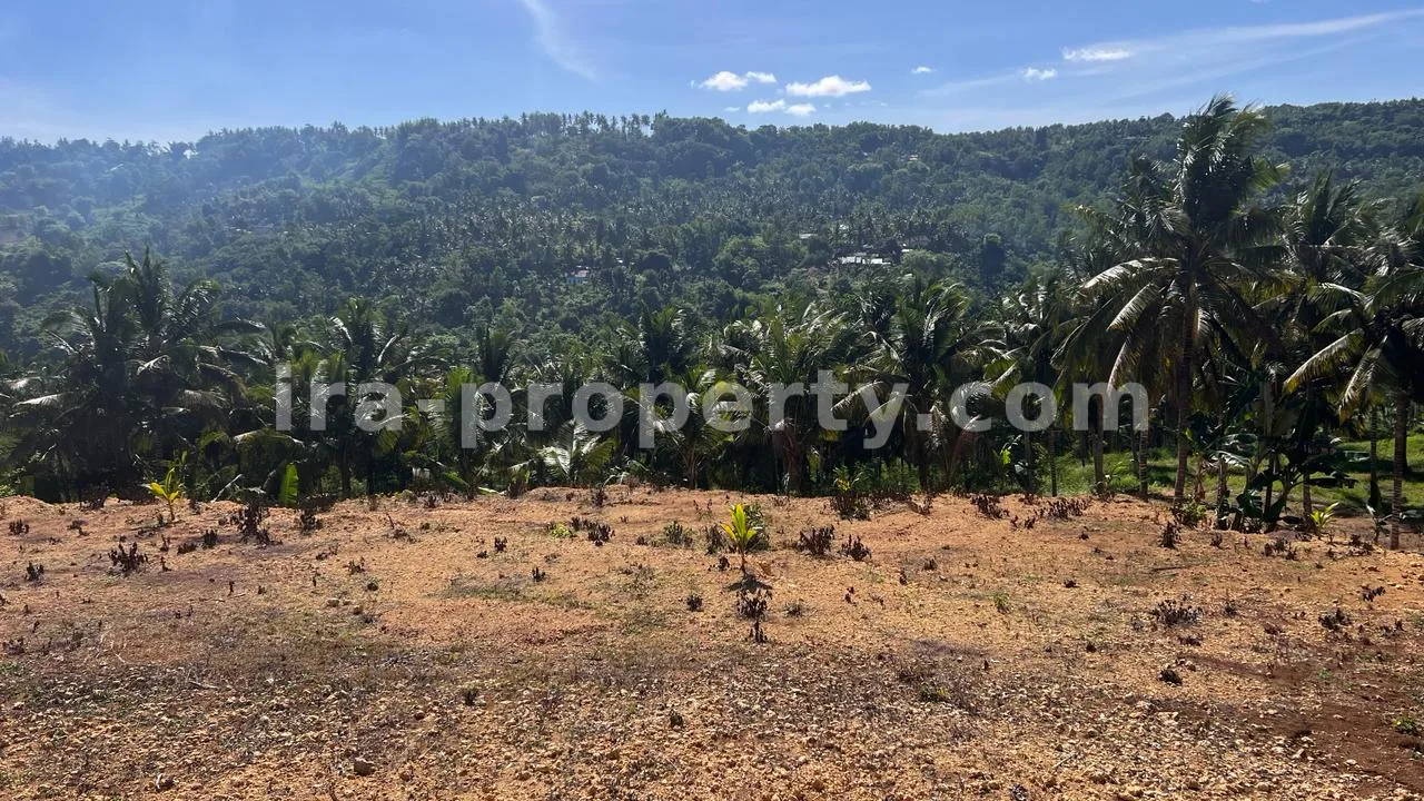 Land Plot with Direct Beach and Circuit Views in Mandalika