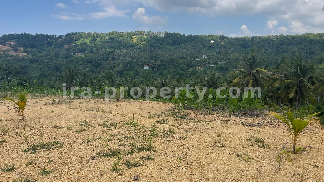 Land Plot with Direct Beach and Circuit Views in Mandalika