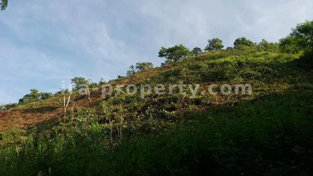 Land Plot with Direct Beach and Circuit Views in Mandalika
