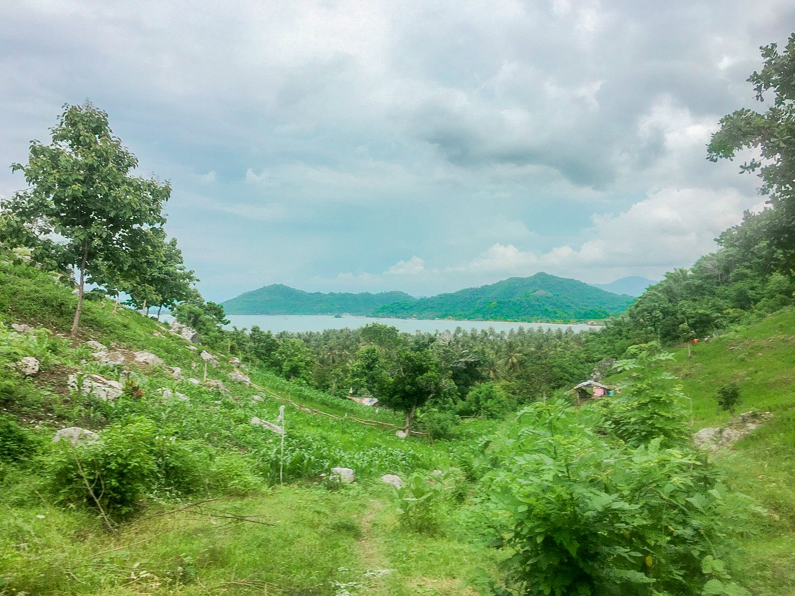 Super Affordable Land in Sekotong – Sea View 16 (Hectares)
