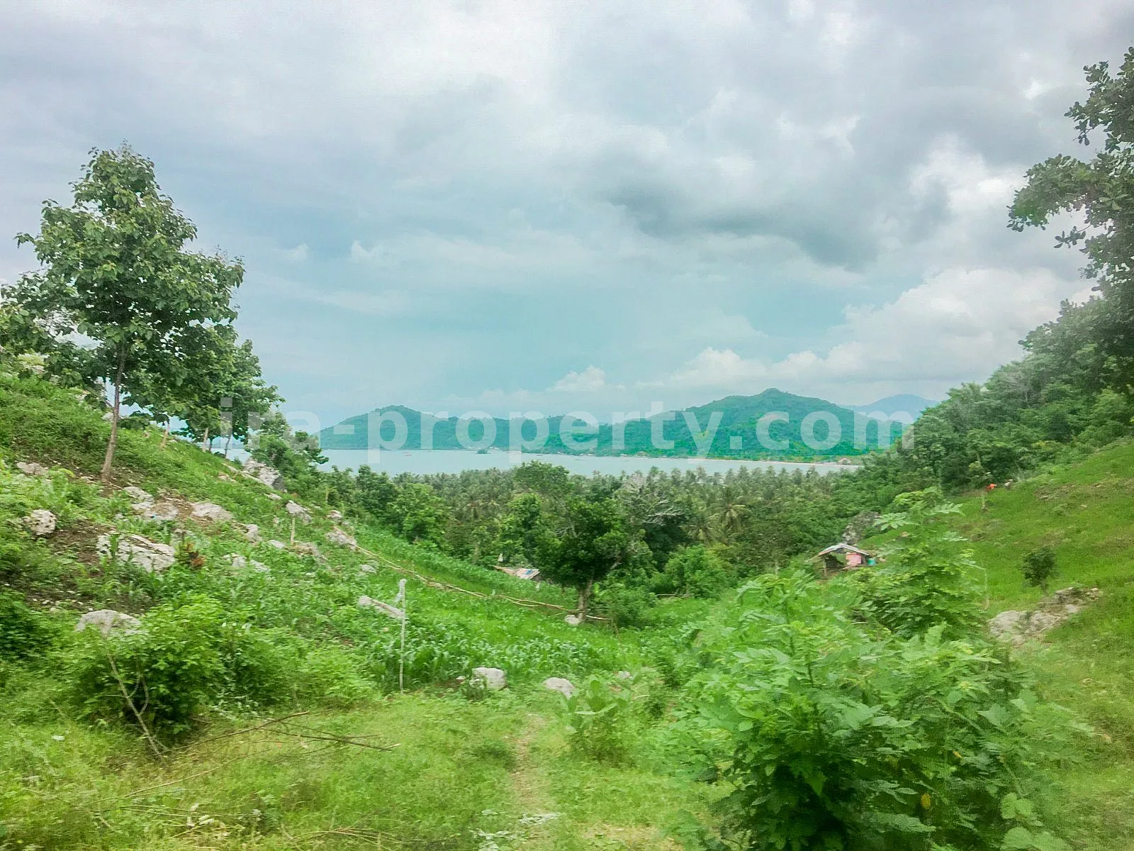Super Affordable Land in Sekotong – Sea View 16 (Hectares)