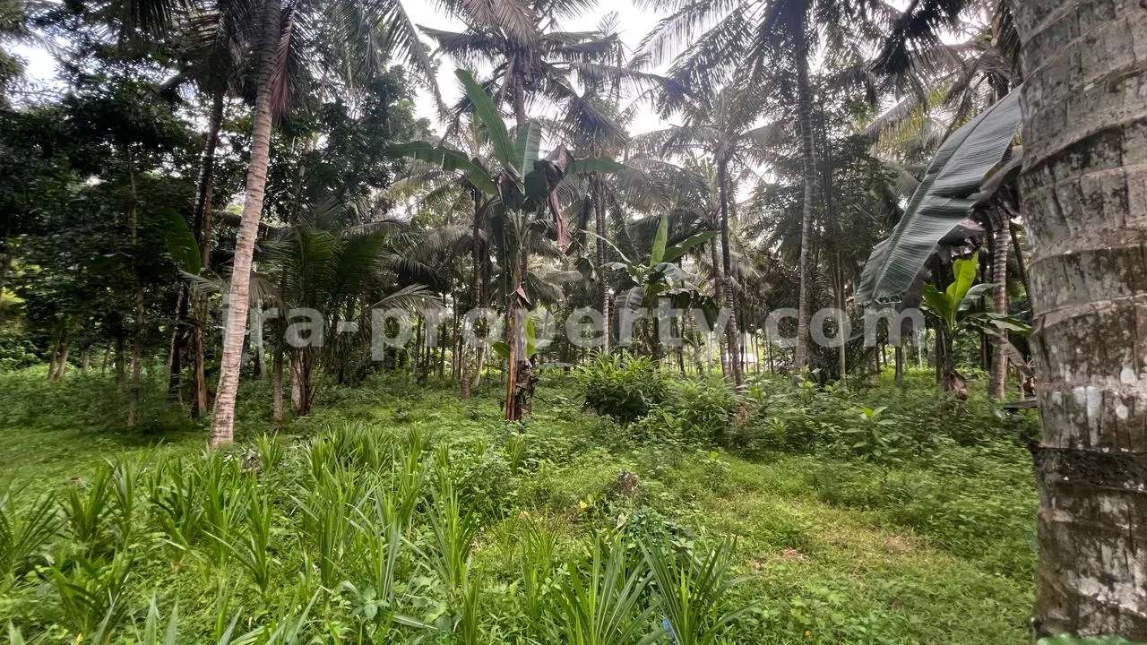 Direct Ocean and Circuit View Land in Mandalika
