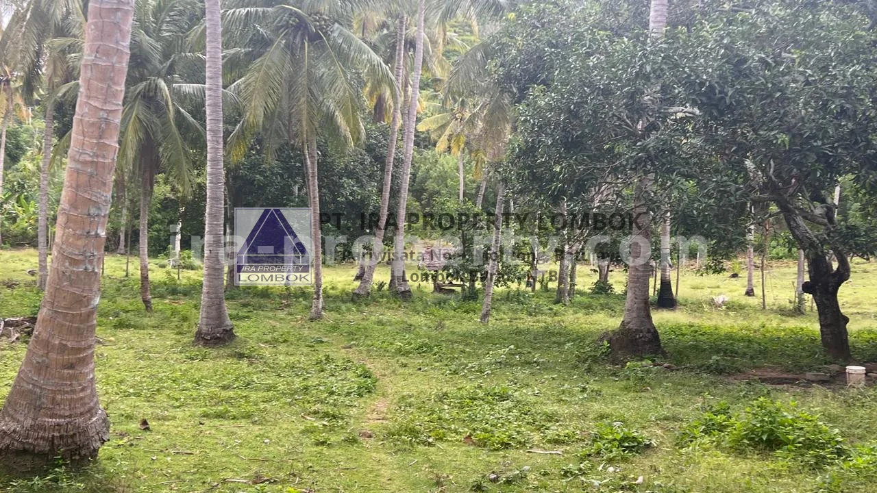 Beachfront Land in Telaga Lupi, Sekotong