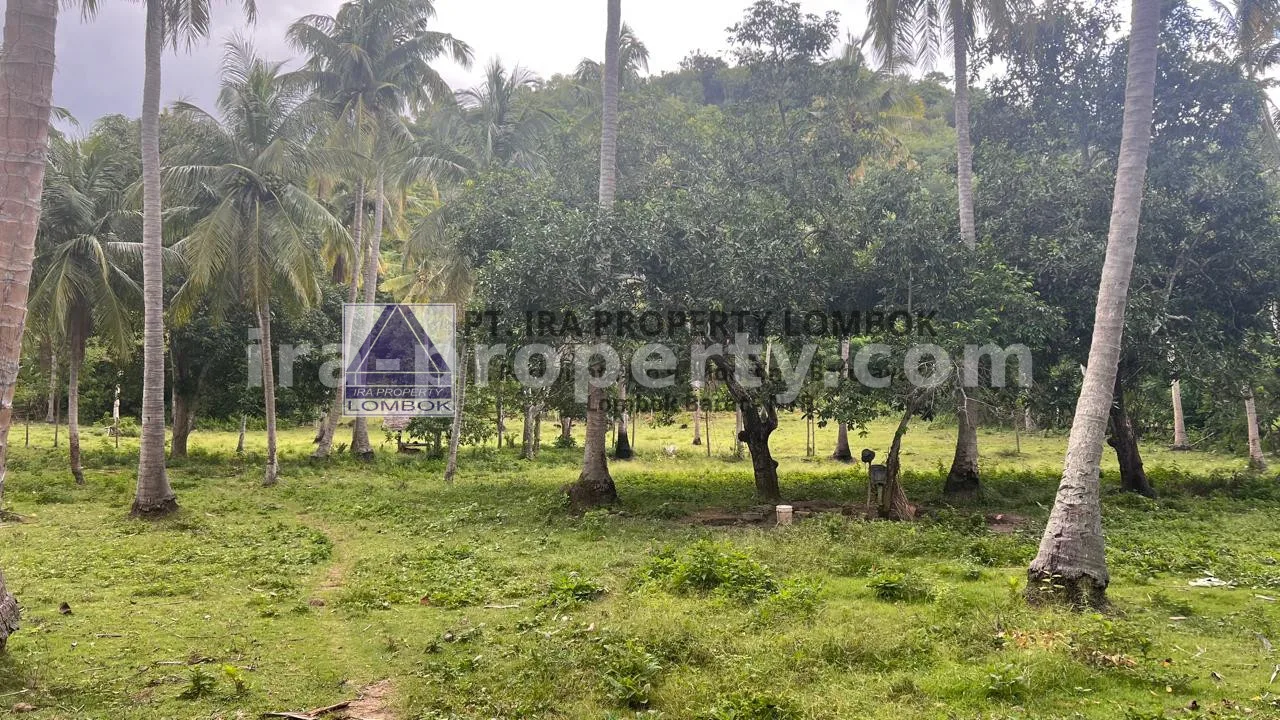 Beachfront Land in Telaga Lupi, Sekotong