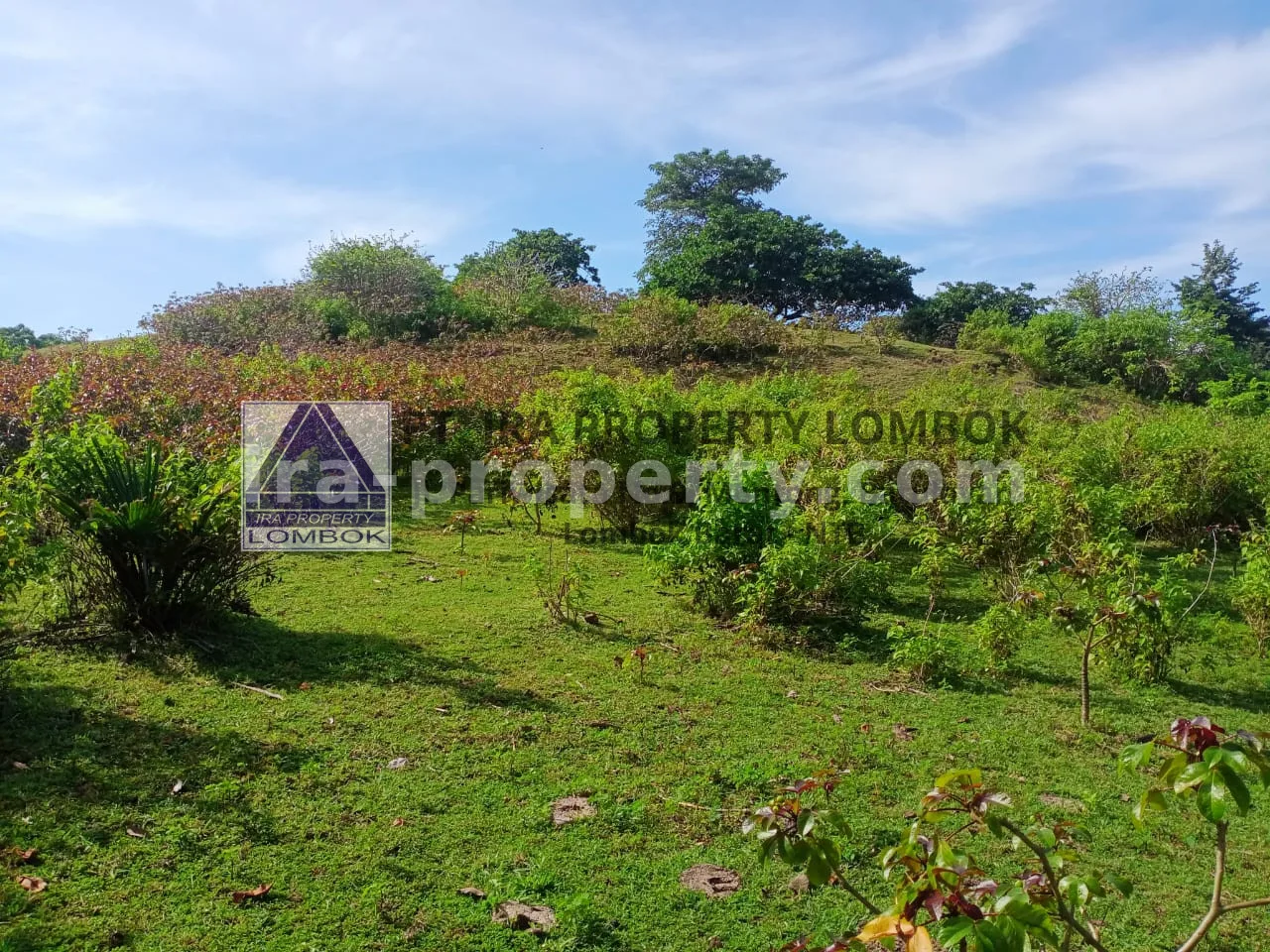 Beachfront Land in Gili Layar, Sekotong
