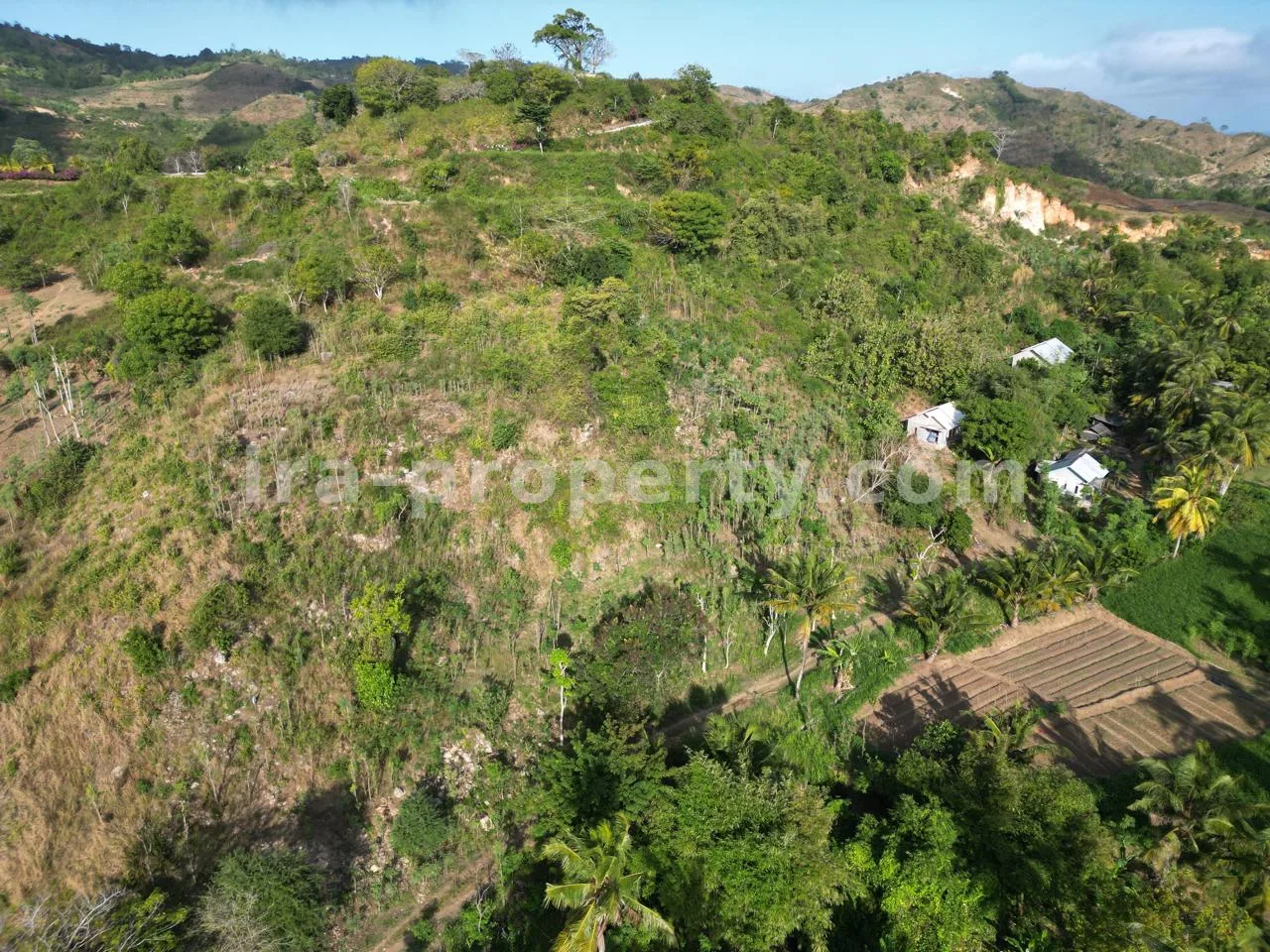 Ocean View Land in Prabu Areguling, Kuta Mandalika