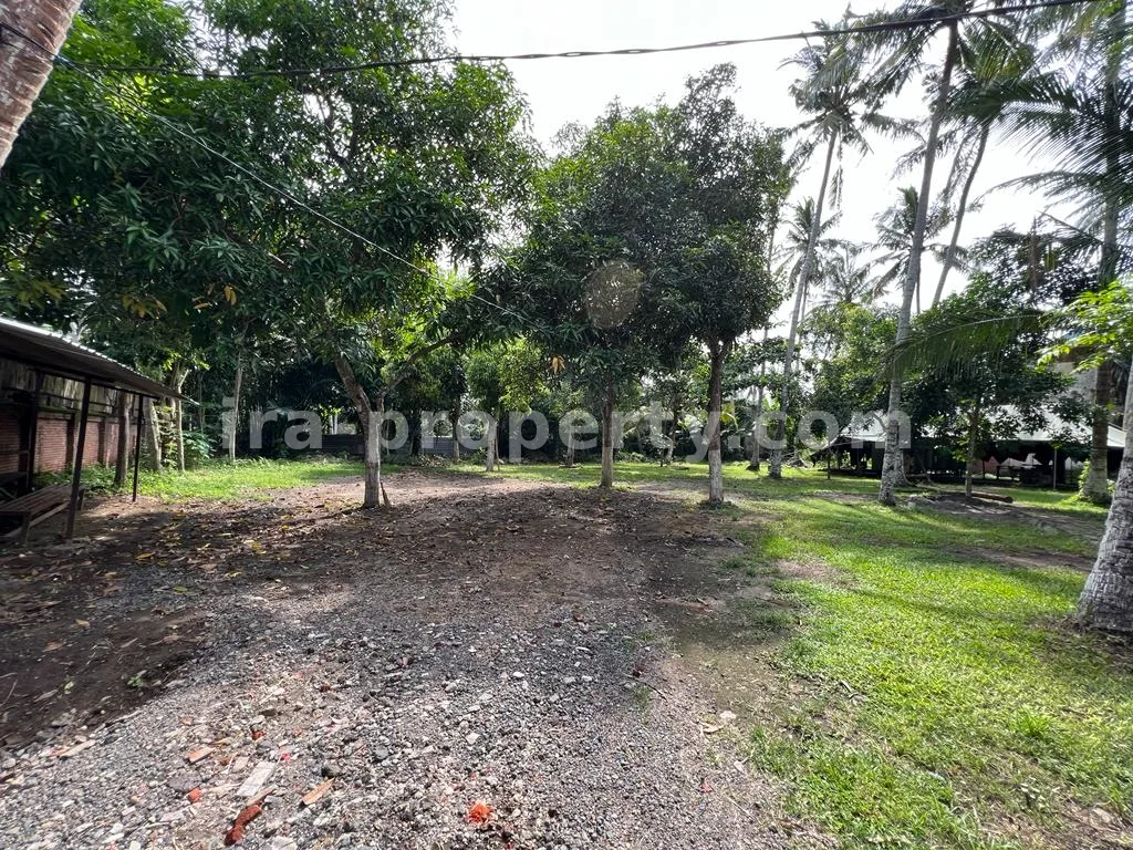 Prime Land Near Coconut Boutique Resort, Meninting