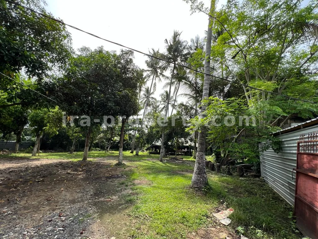 Prime Land Near Coconut Boutique Resort, Meninting