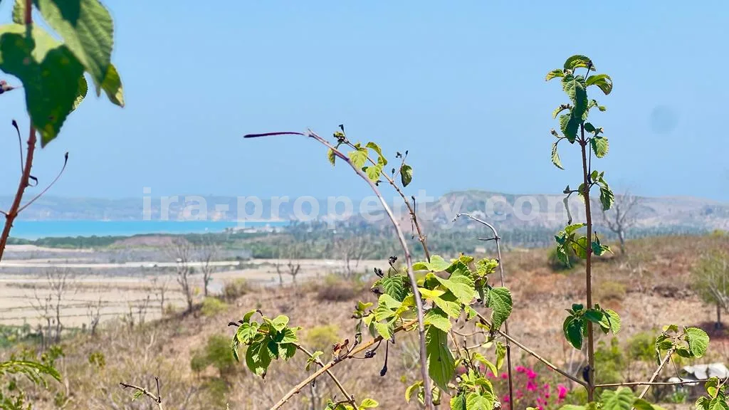 Prime Seaside Land for Sale Near Kuta Mandalika Circuit, Lombok