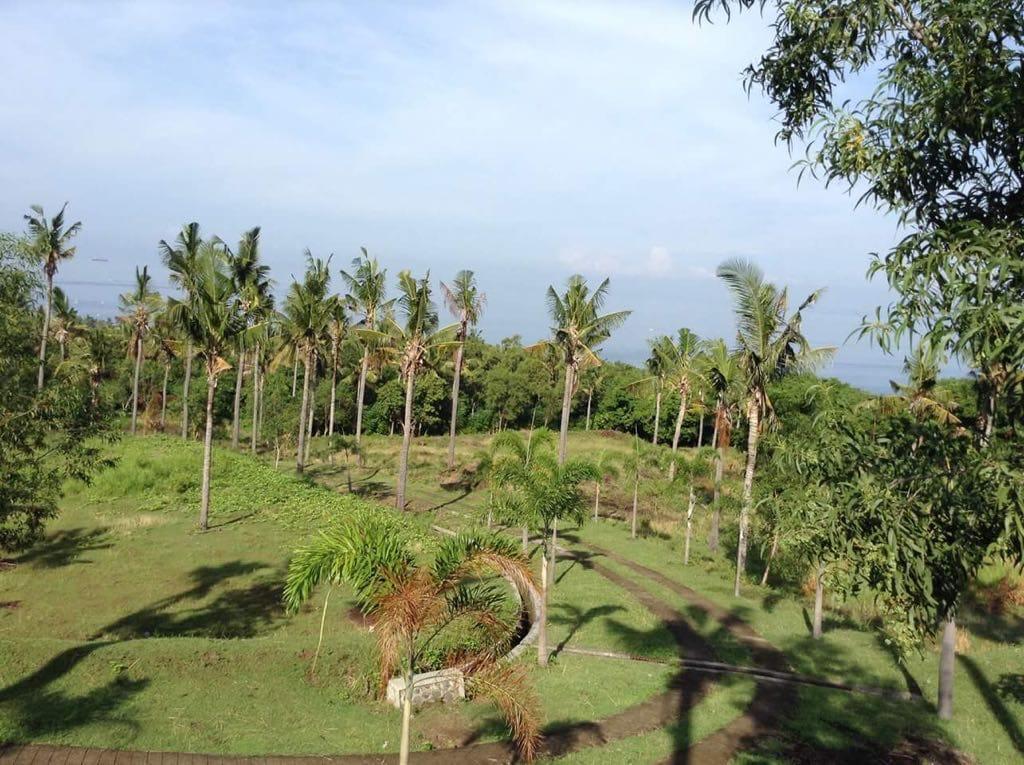 Ocean-View Land Plots Perfect for Villas Near Senggigi
