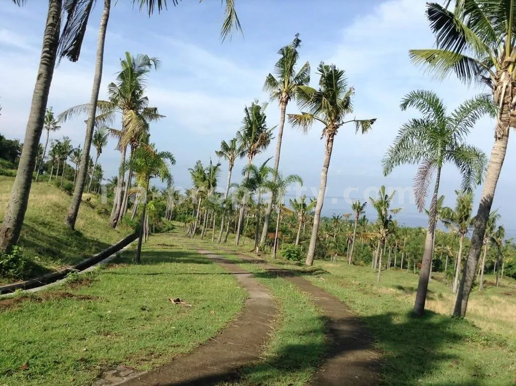 Ocean-View Land Plots Perfect for Villas Near Senggigi