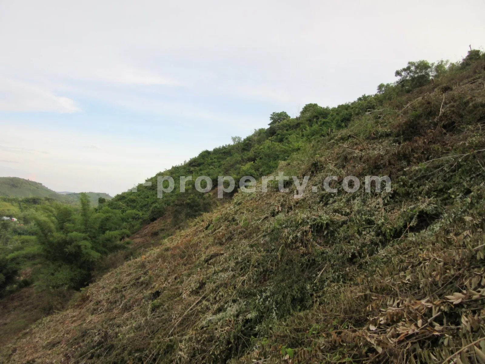 Direct Ocean and Circuit View Land in Mandalika