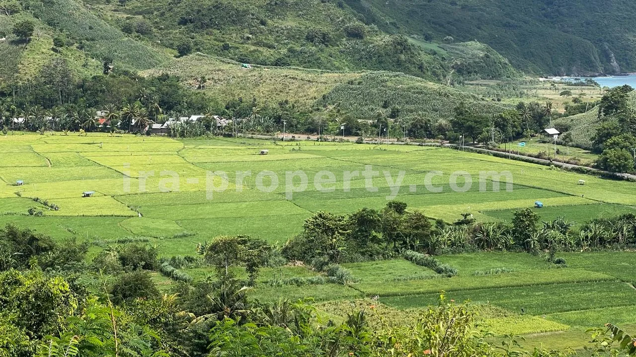 Sea View Land in Mawun, Kuta Mandalika (73.6 are)