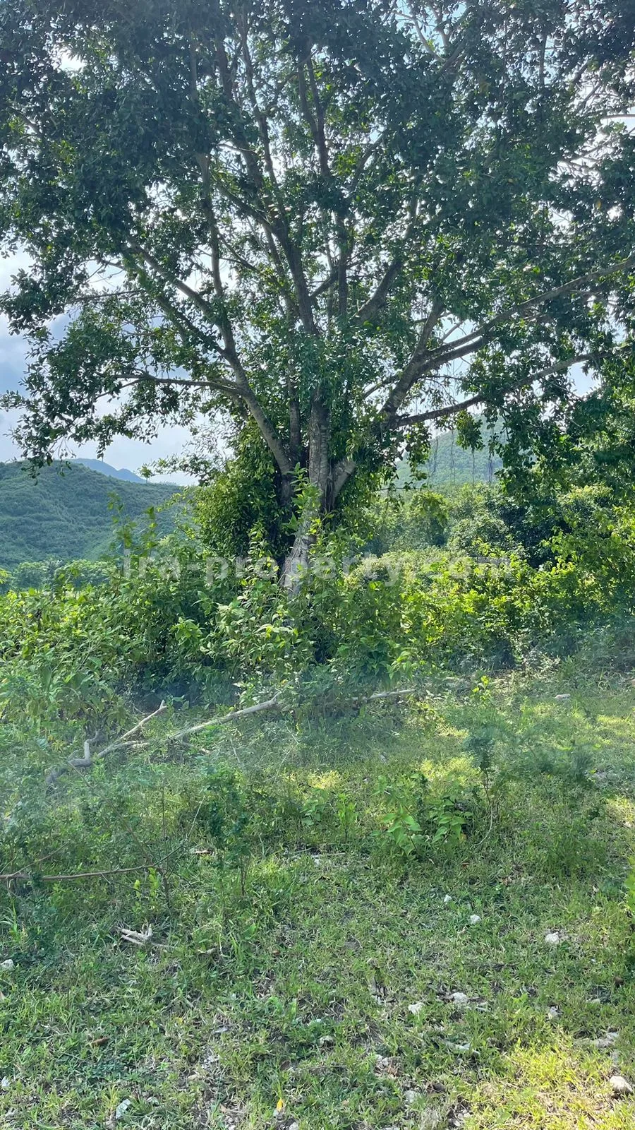 Sea view Land in Mawun, Kuta Mandalika (1.5 Hectare)