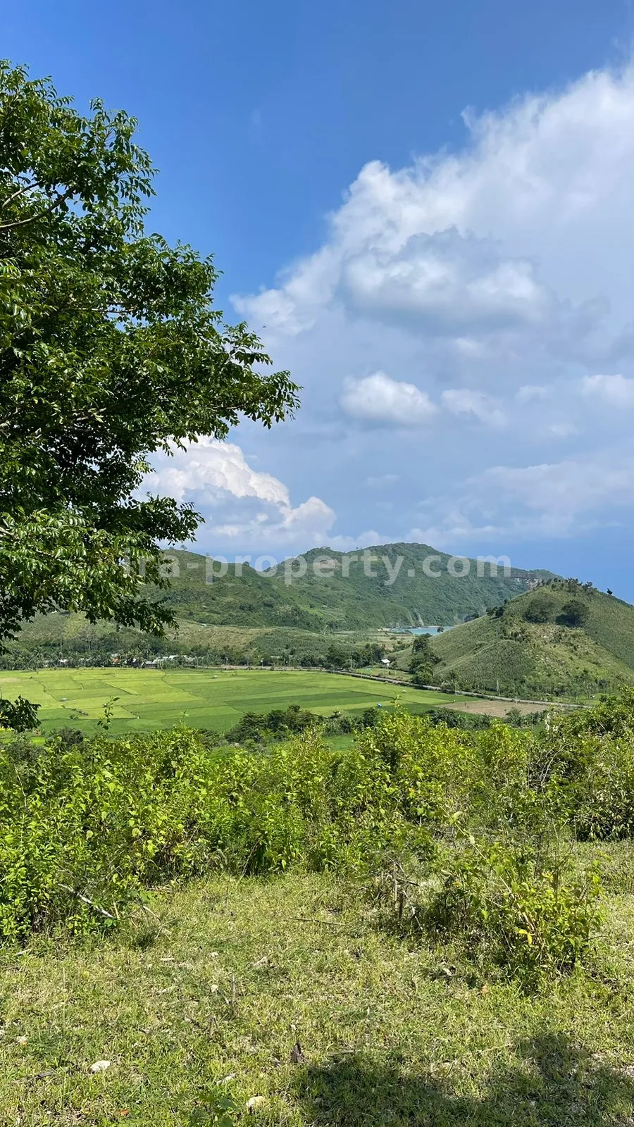 Sea view Land in Mawun, Kuta Mandalika (1.5 Hectare)