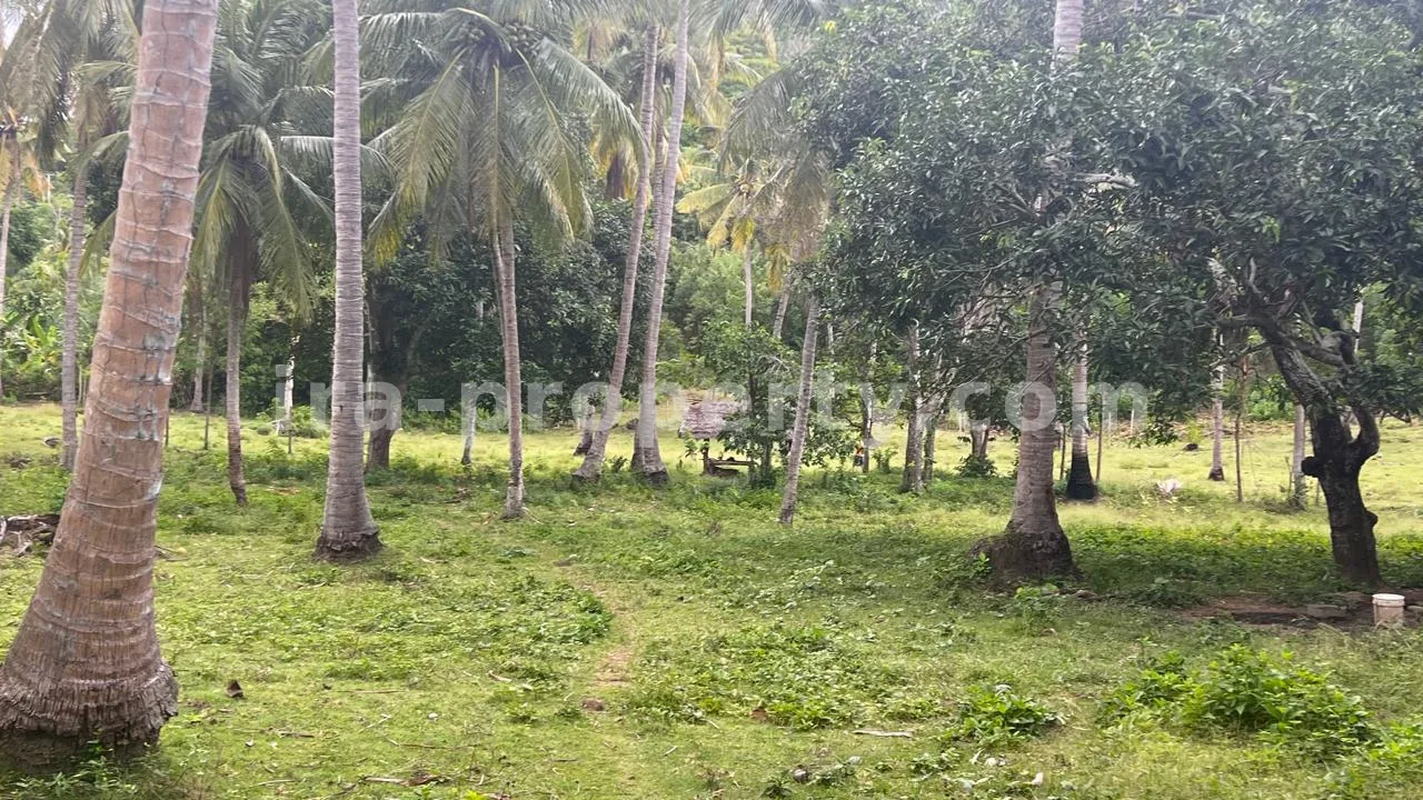 Beachfront Land in Telaga Lupi, Sekotong