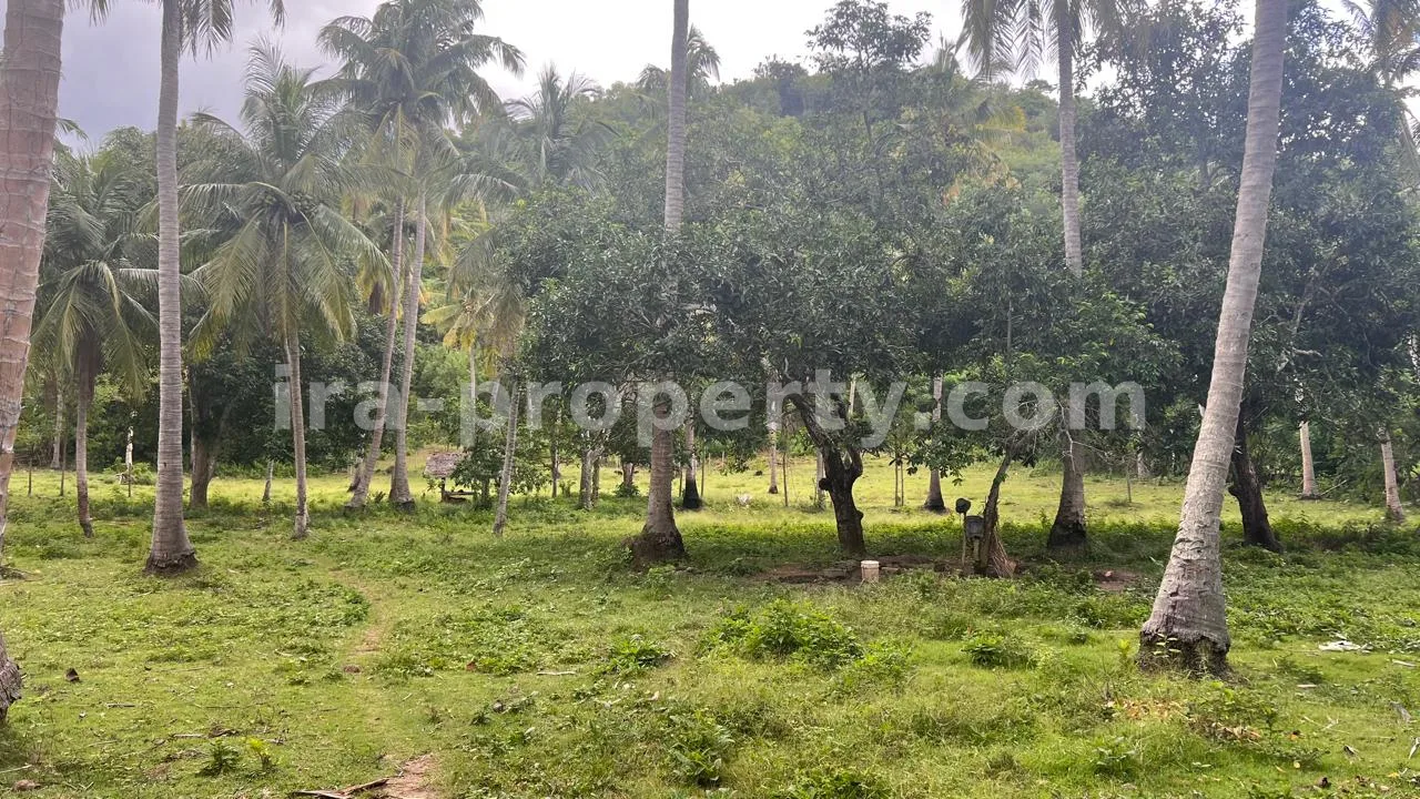 Beachfront Land in Telaga Lupi, Sekotong