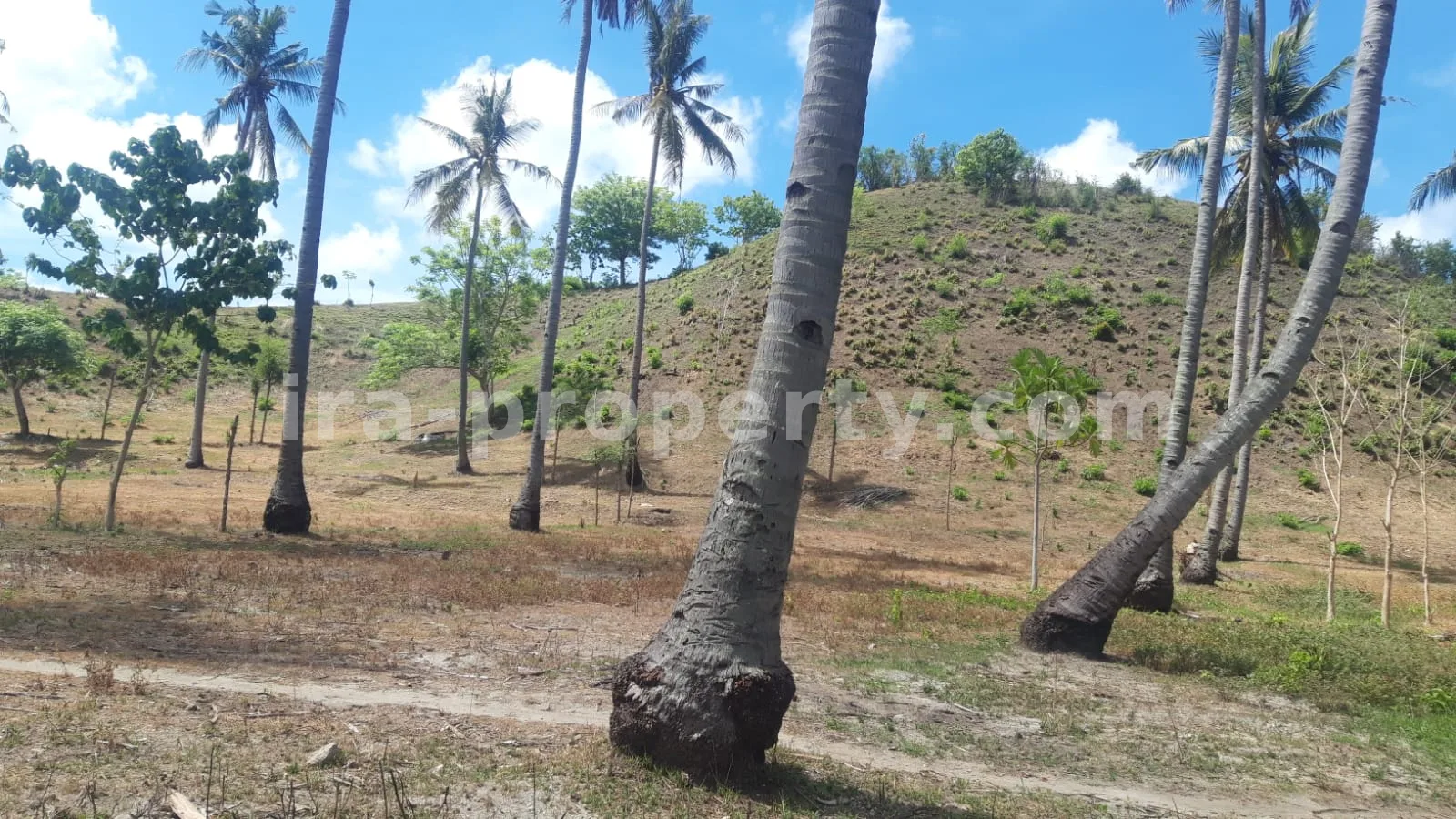 Oceanfront Land in Gili Genting, Sekotong