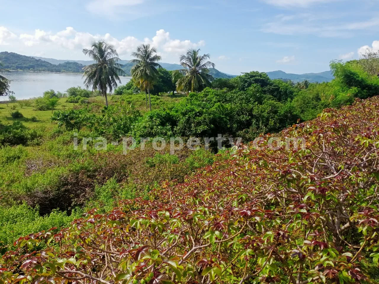 Beachfront Land in Gili Layar, Sekotong