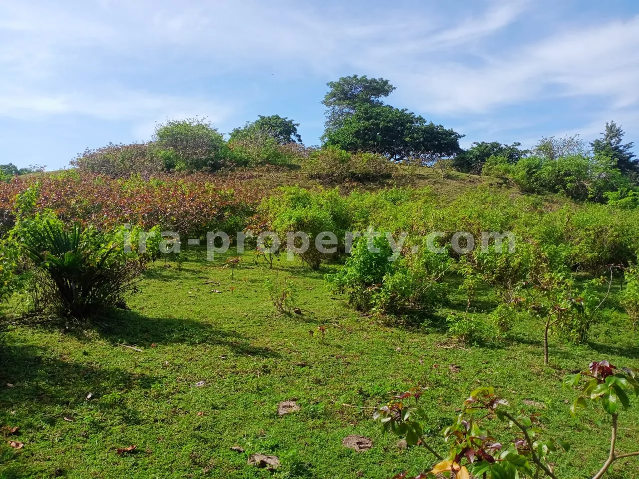 Beachfront Land in Gili Layar, Sekotong