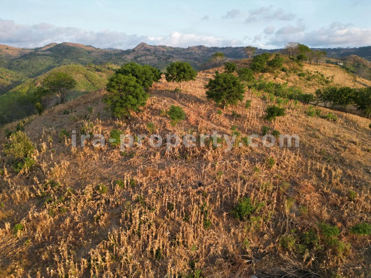 Oceanfront Land Near Sundancer, Sekotong
