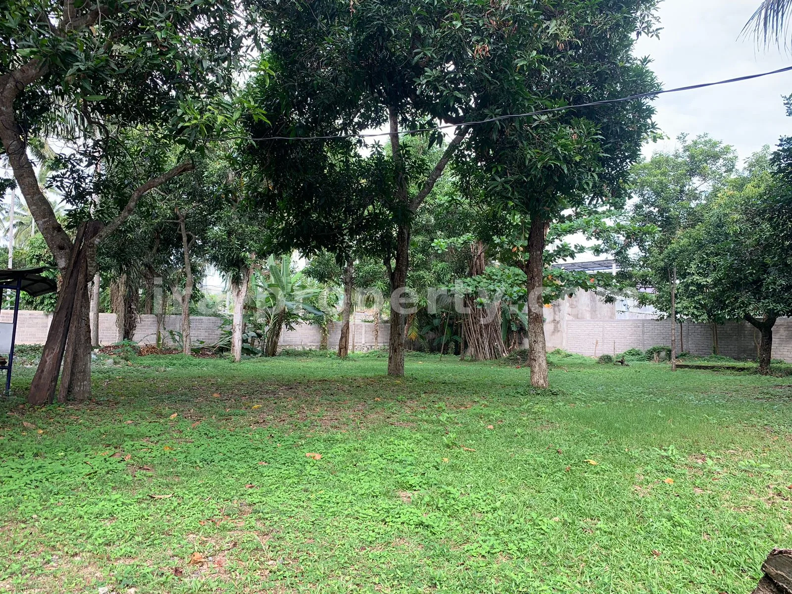 Prime Land Near Coconut Boutique Resort, Meninting