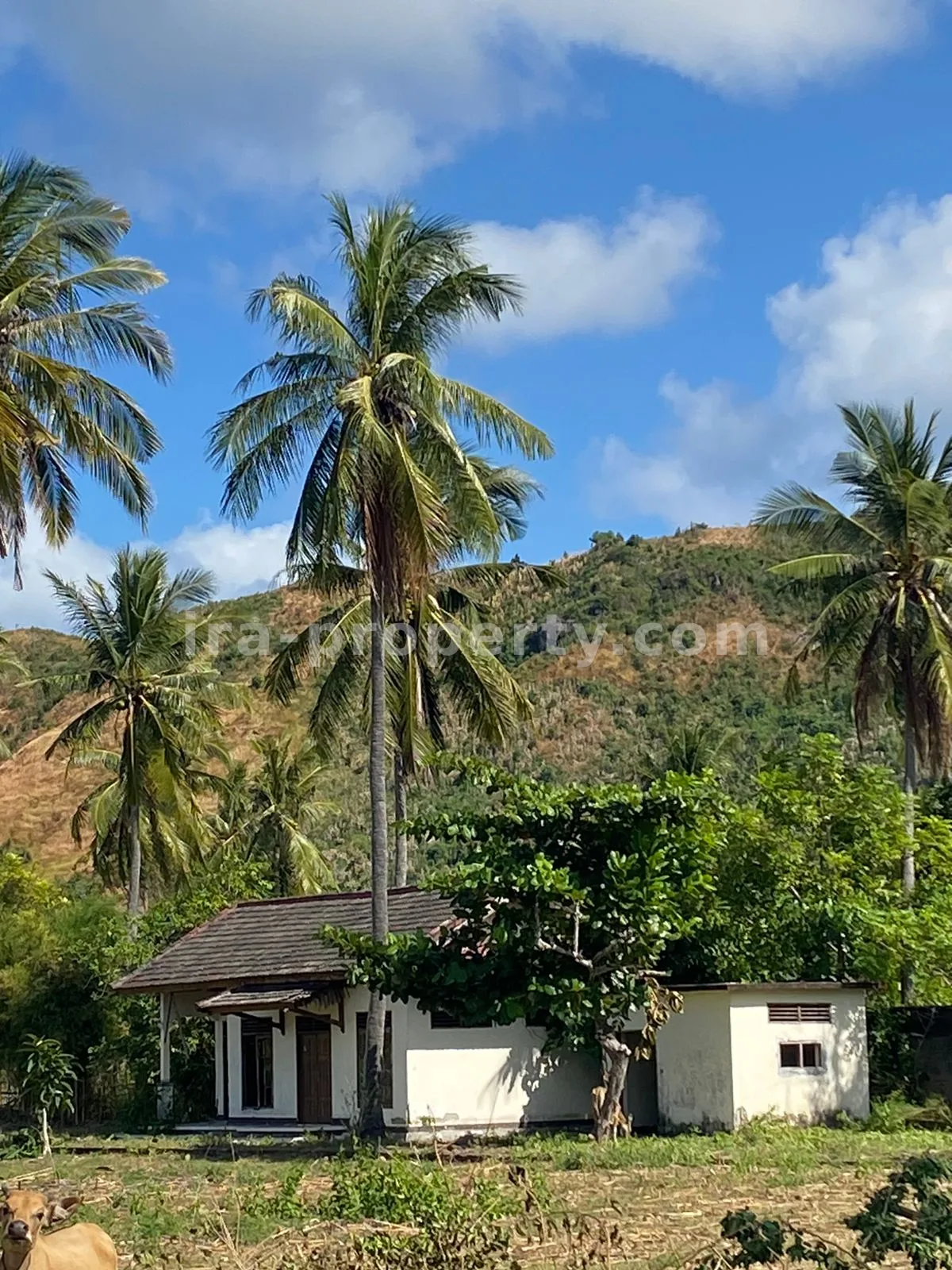 Exclusive Beachfront Land in Sekotong
