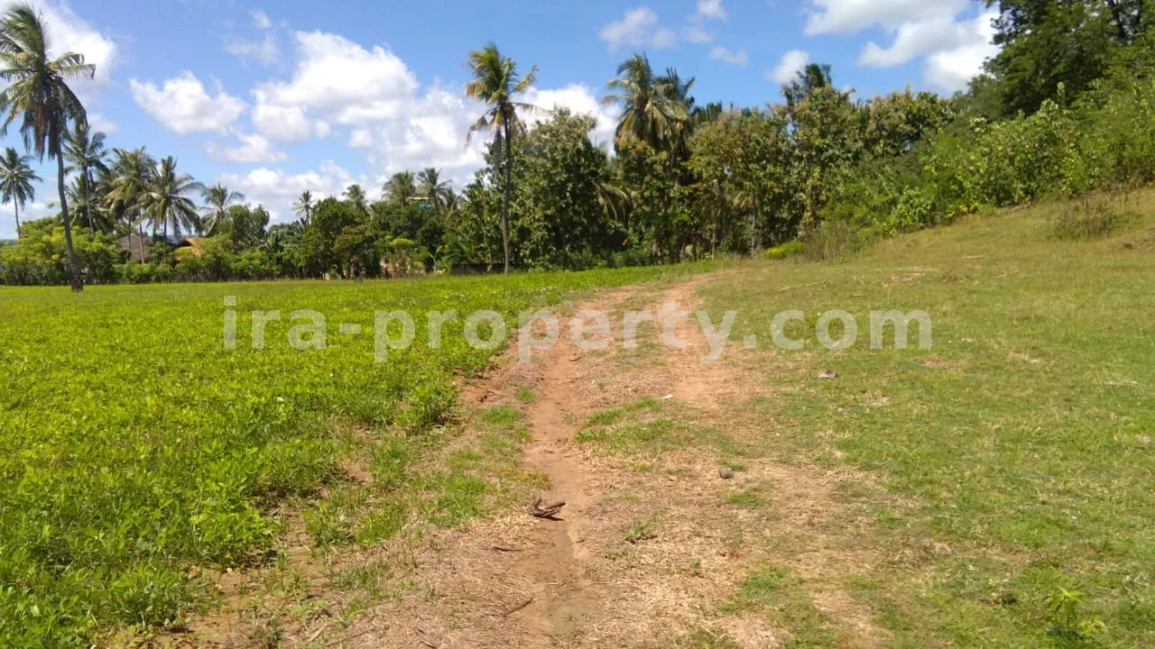 Sekotong Beachfront Land – 15,000 m²