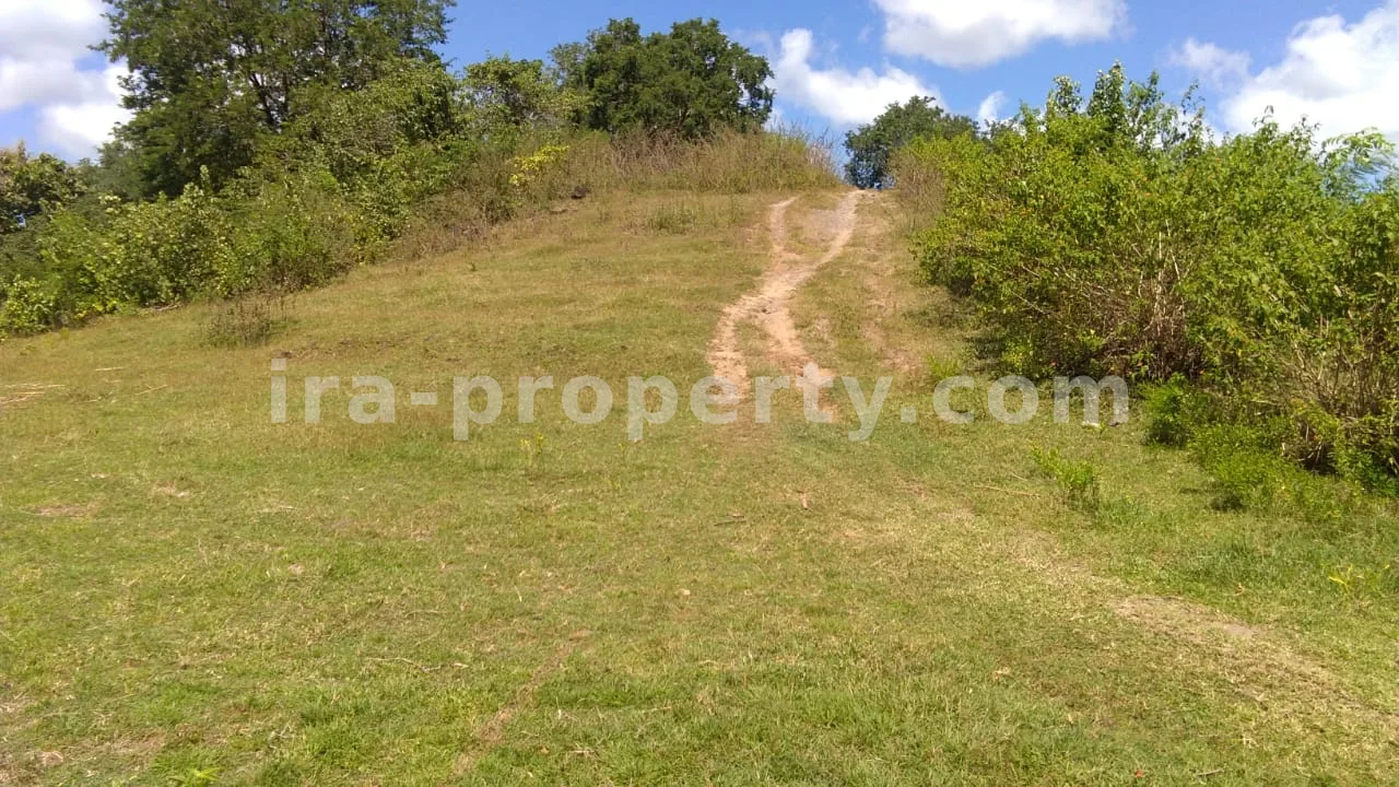 Sekotong Beachfront Land – 15,000 m²