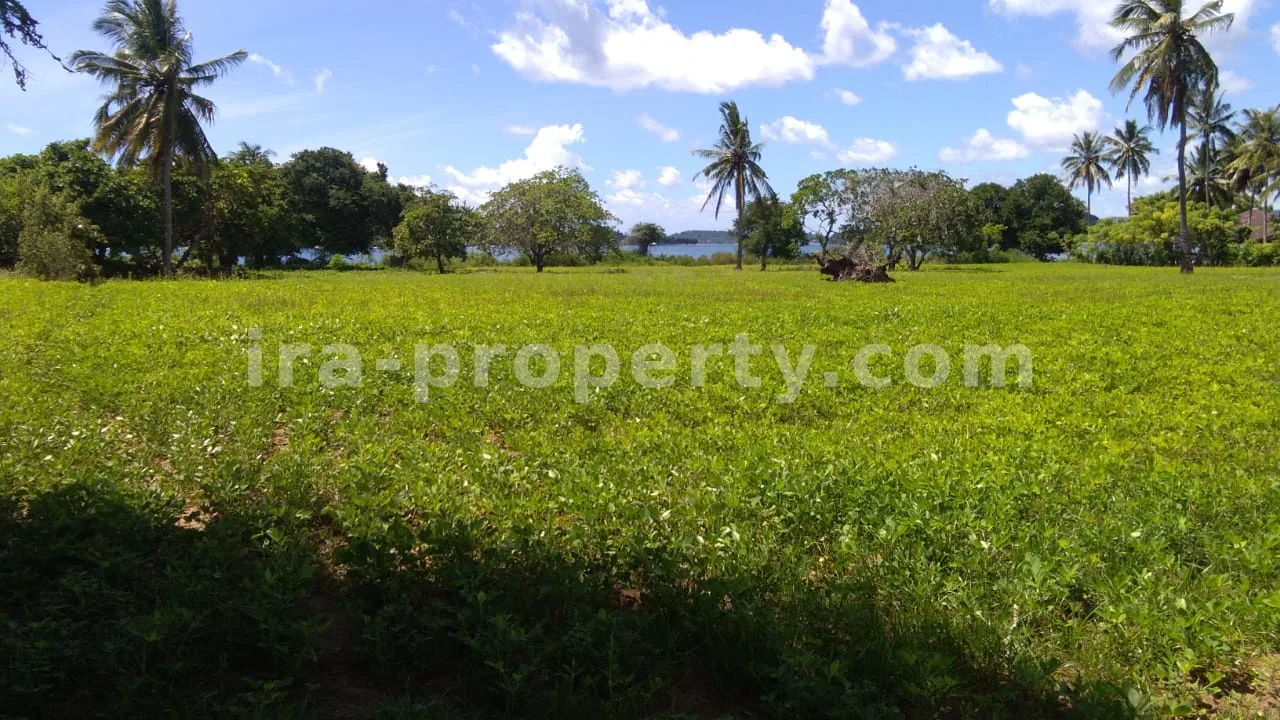 Sekotong Beachfront Land – 15,000 m²
