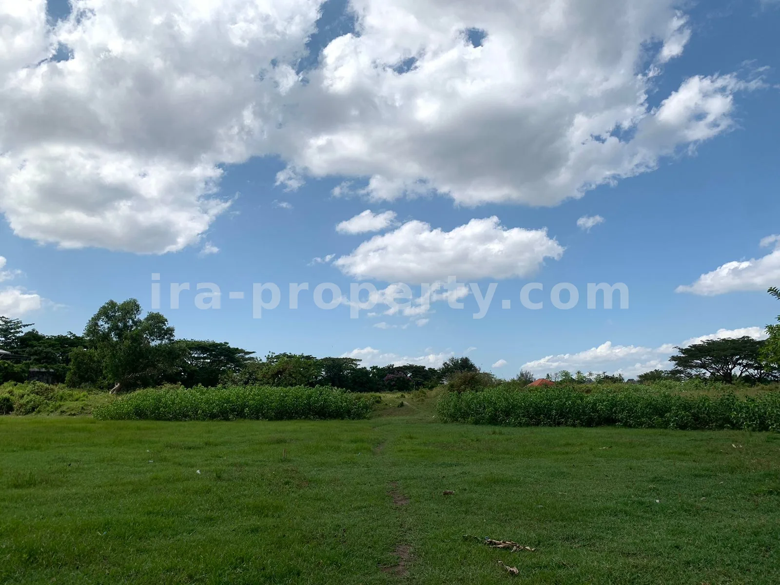 Strategic Land in Montong – Near Former Nusa Alam School