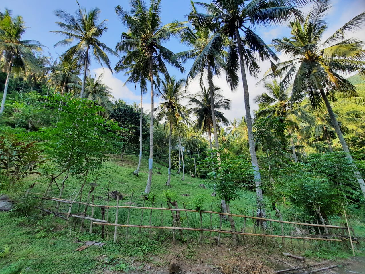 Land for Sale – Ideal for Villa Development in Kerandangan