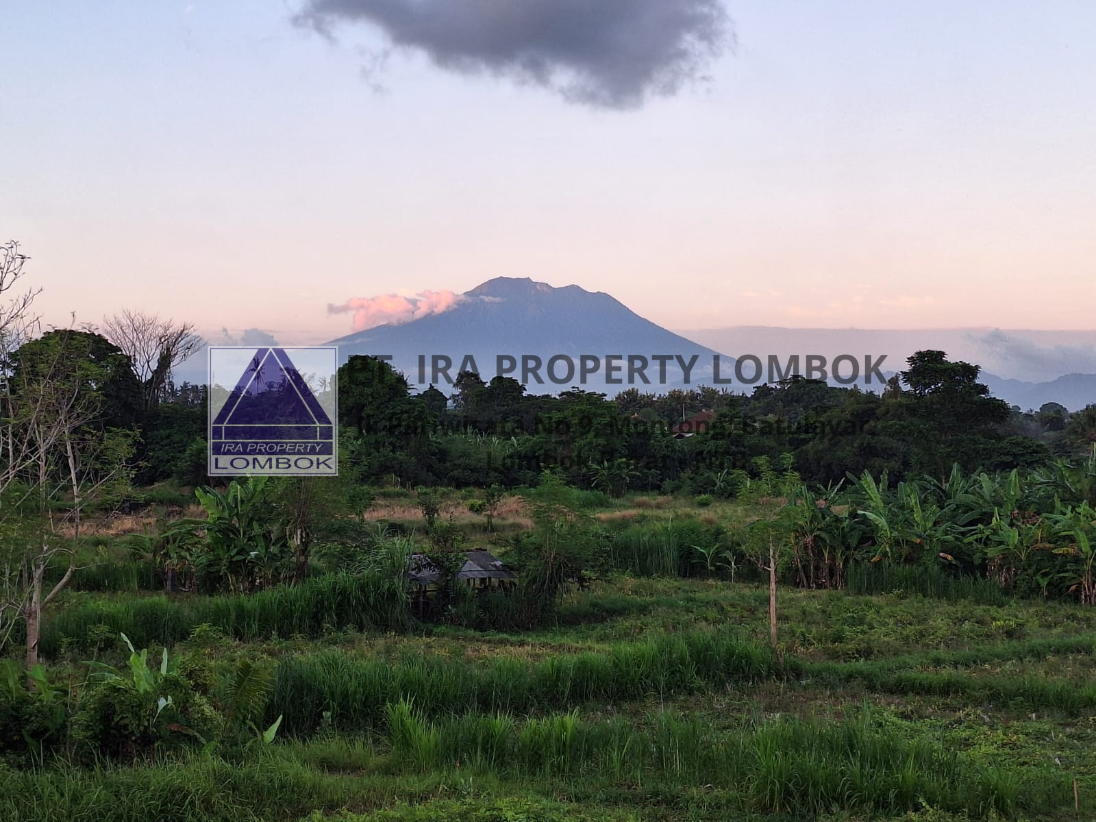 Mountain and Ocean View Land for Sale in Keramas, Bali