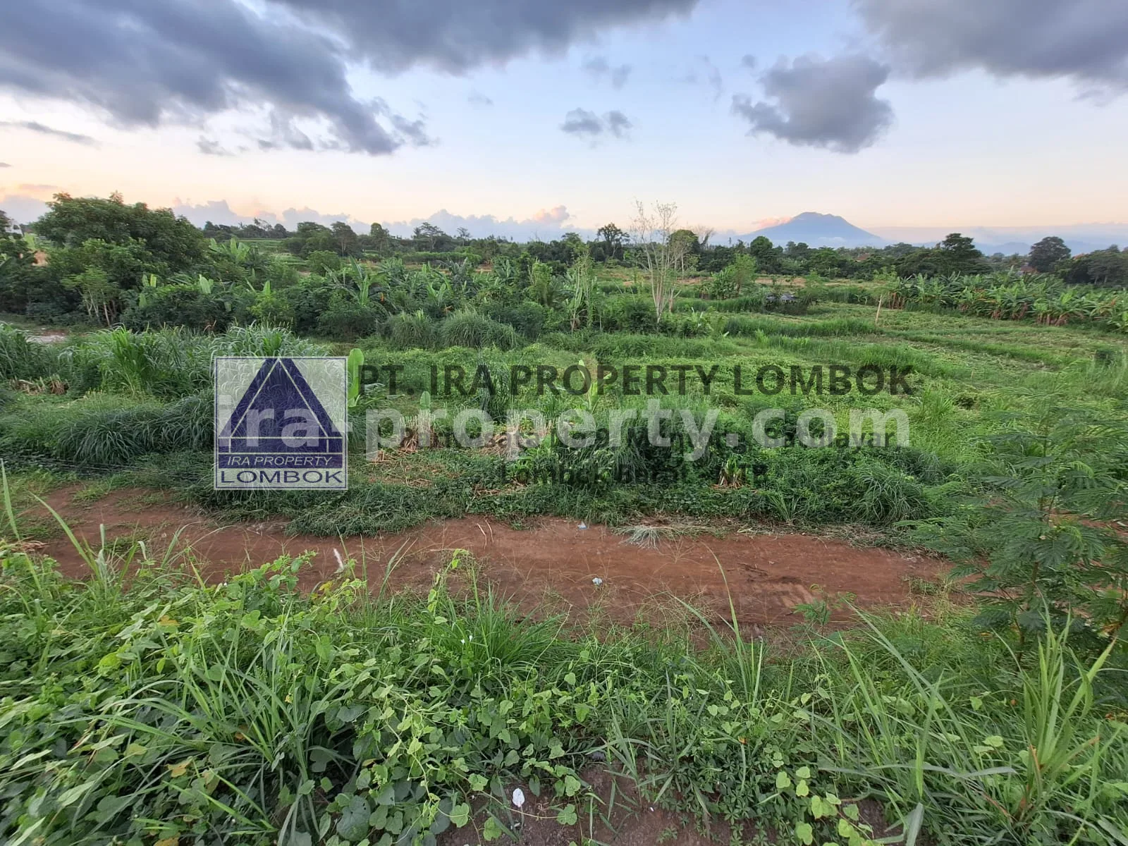 Mountain and Ocean View Land for Sale in Keramas, Bali