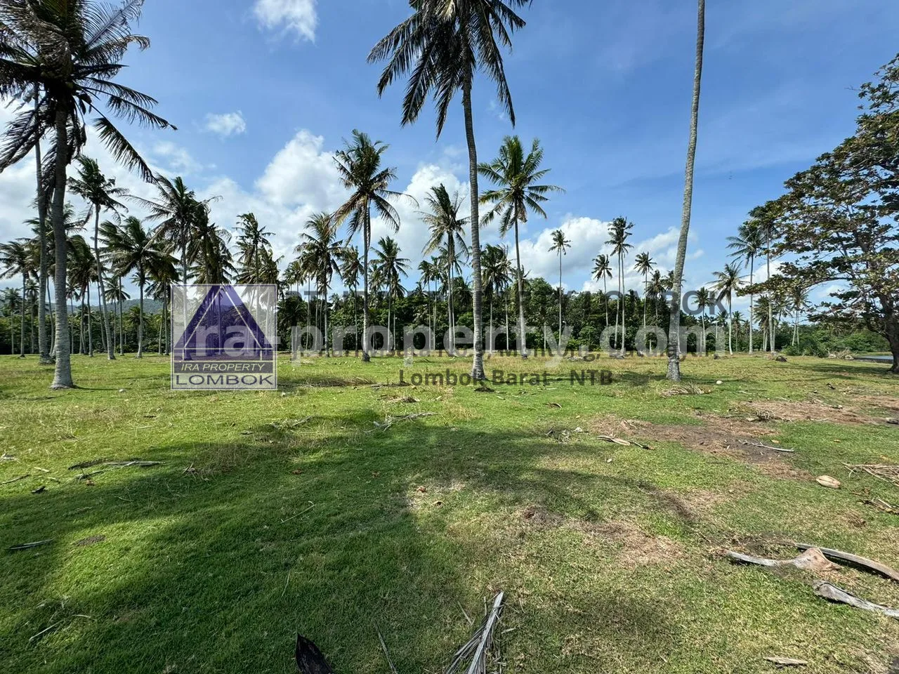Prime Beachfront Land at Balian Beach, Tabanan, Bali