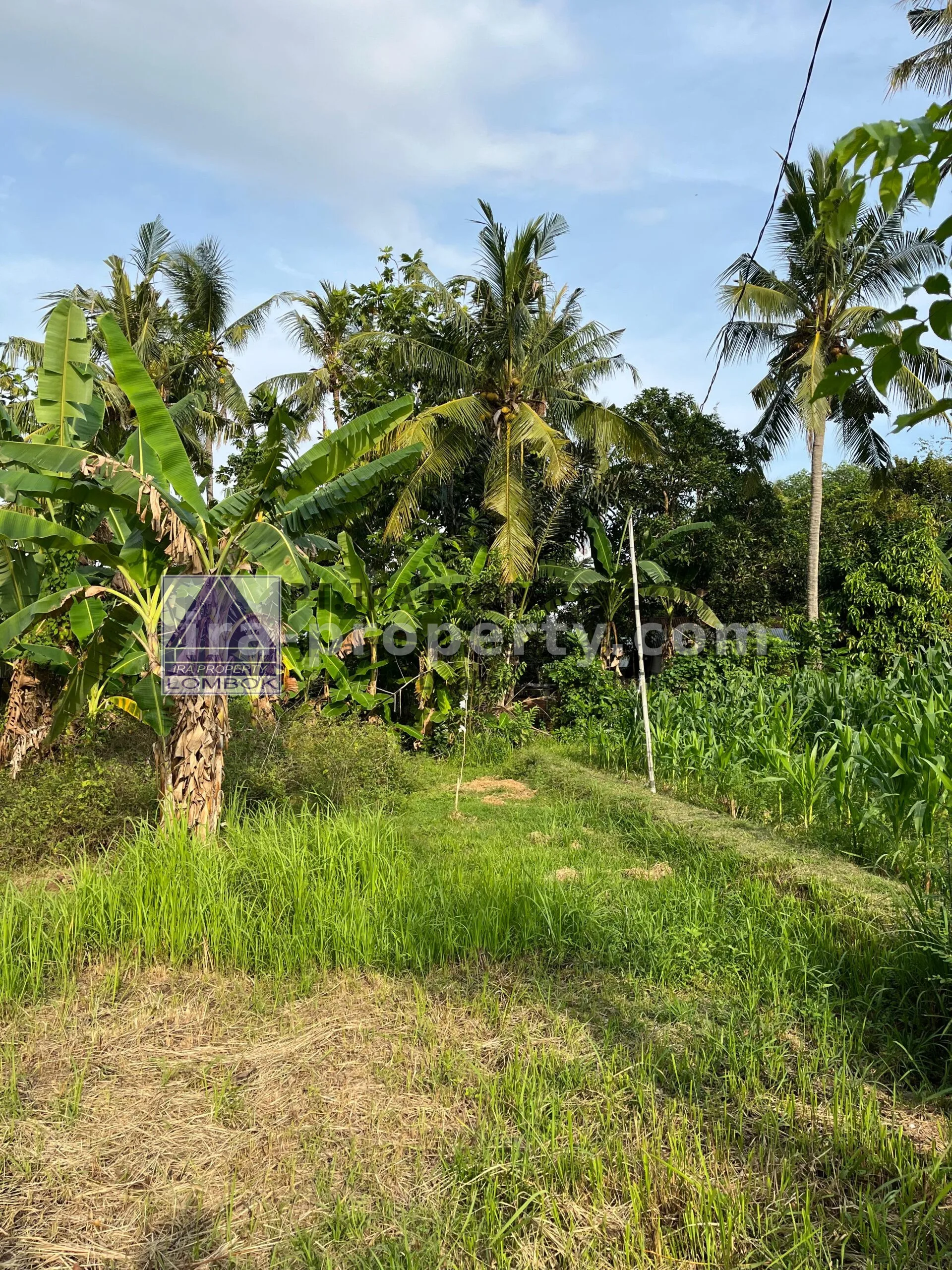 Land for Sale in Mapak Kuranji near Mataram
