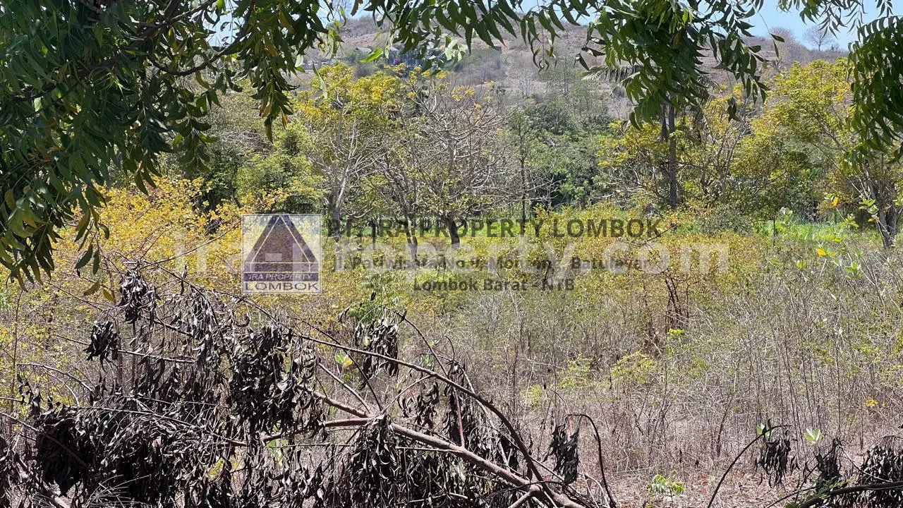 Beachfront Land in Bumbang, near Kuta Mandalika