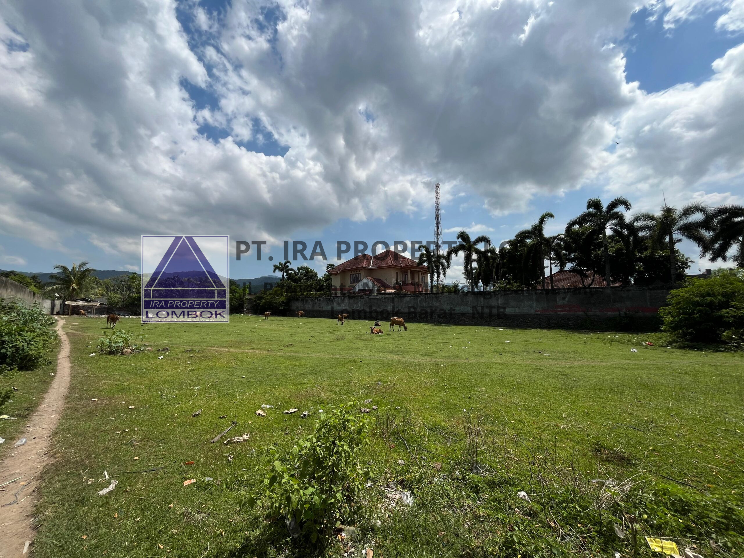 Prime Roadside Land for Sale in Sandik, West Lombok