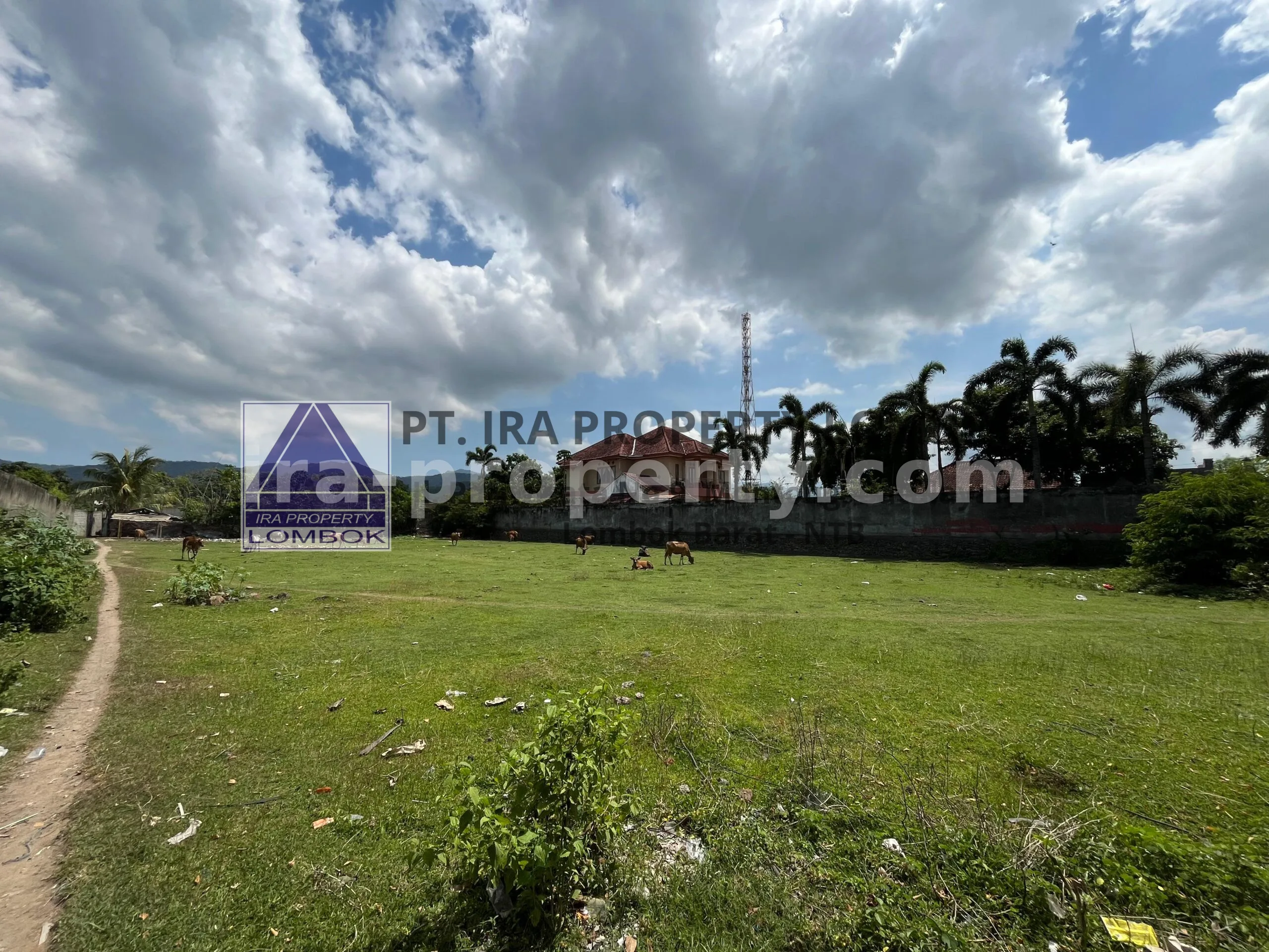 Prime Roadside Land for Sale in Sandik, West Lombok