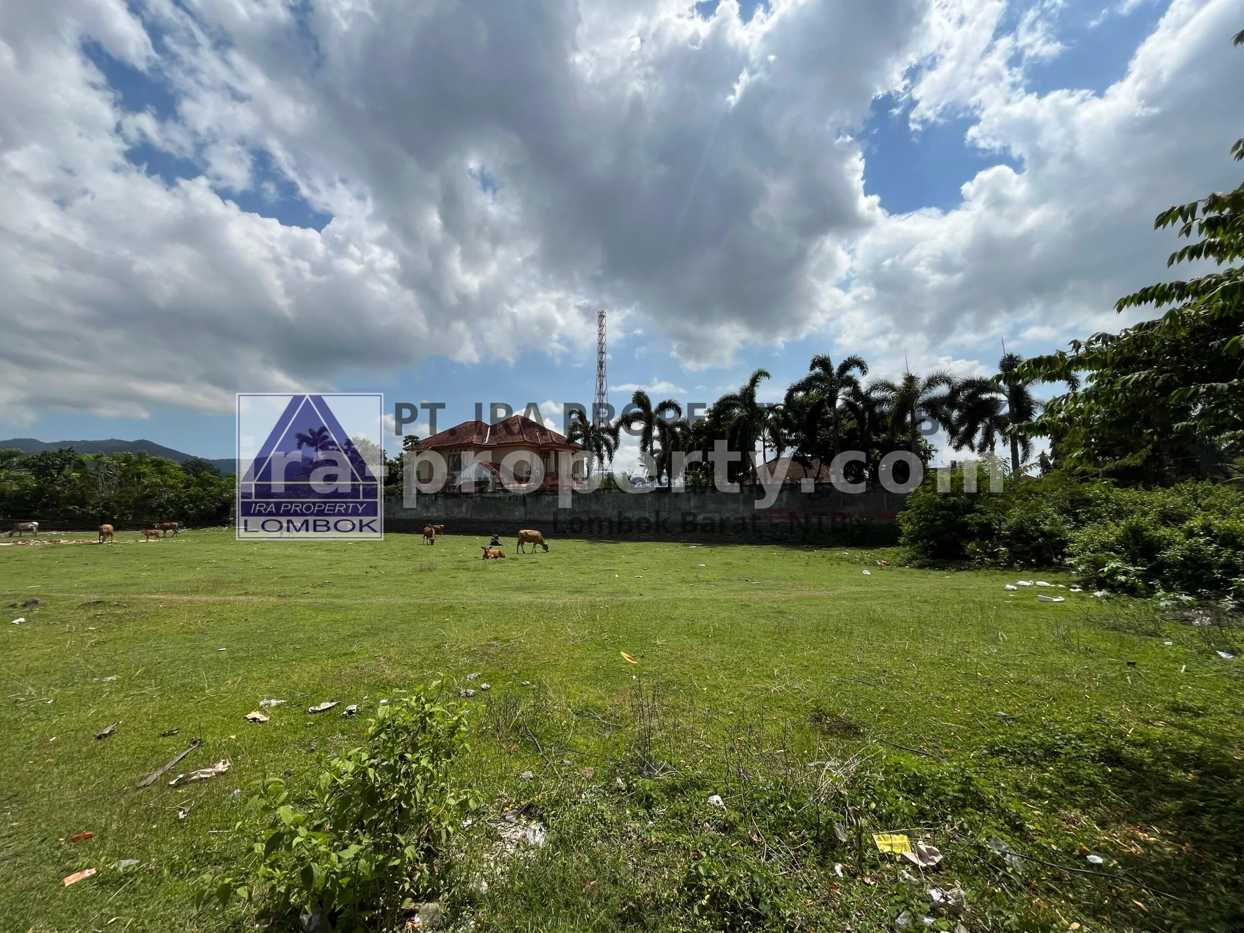 Prime Roadside Land for Sale in Sandik, West Lombok
