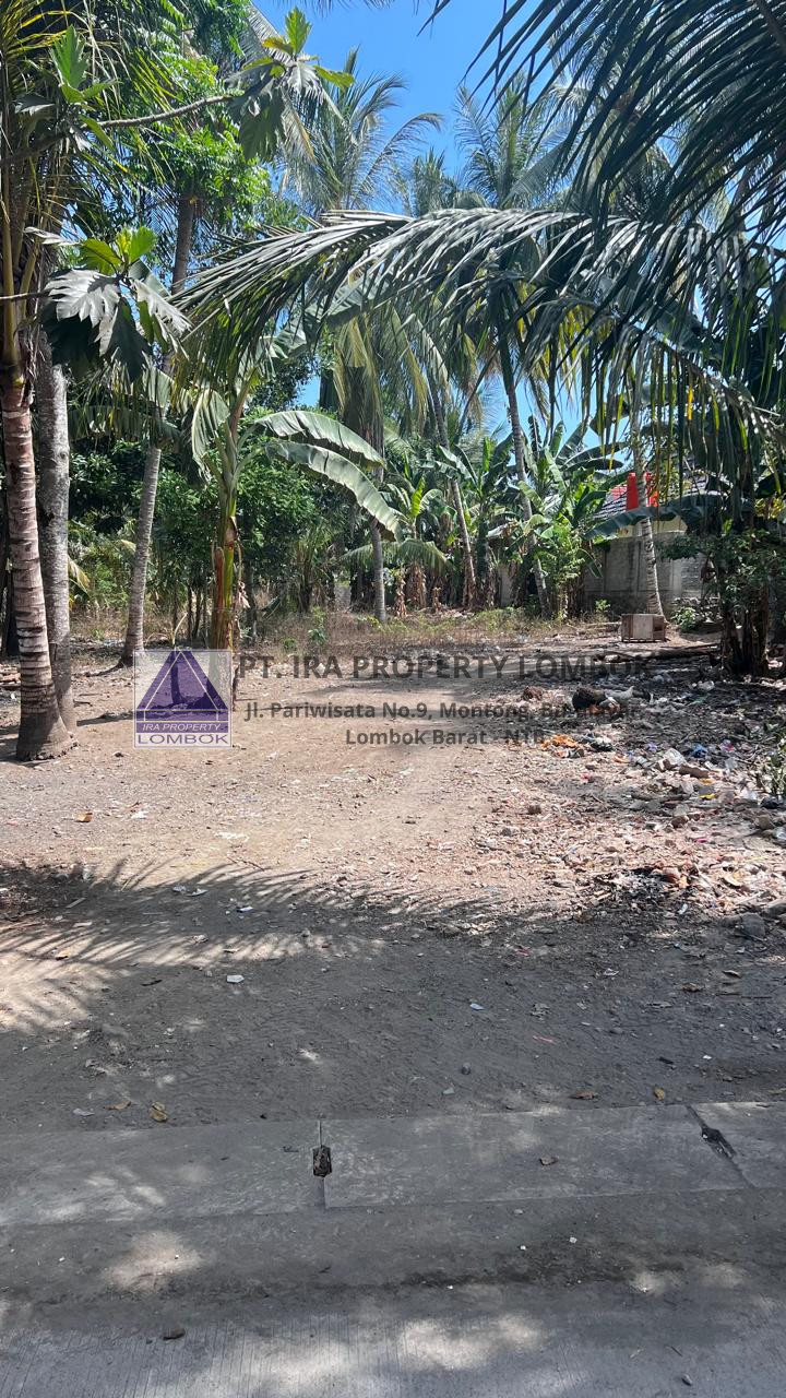 Strategic Land for Sale in Central Kuta Mandalika