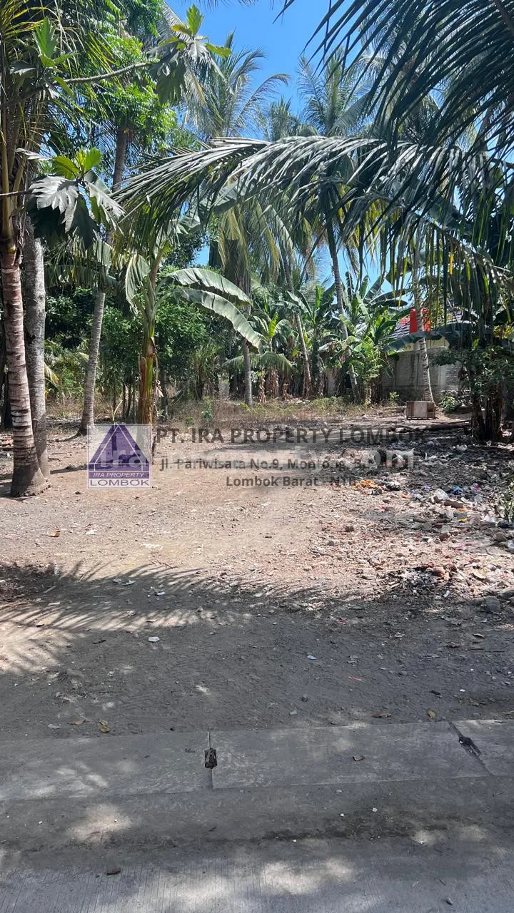 Strategic Land for Sale in Central Kuta Mandalika
