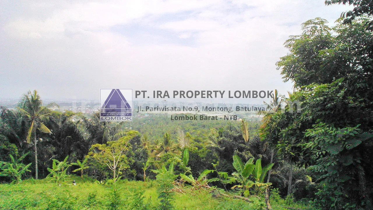 Scenic Land for Sale in Penyawangan