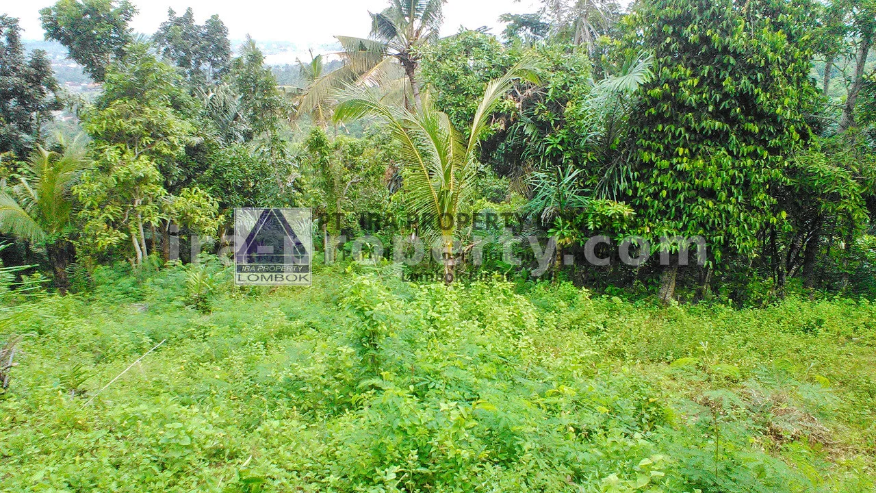 Scenic Land for Sale in Penyawangan