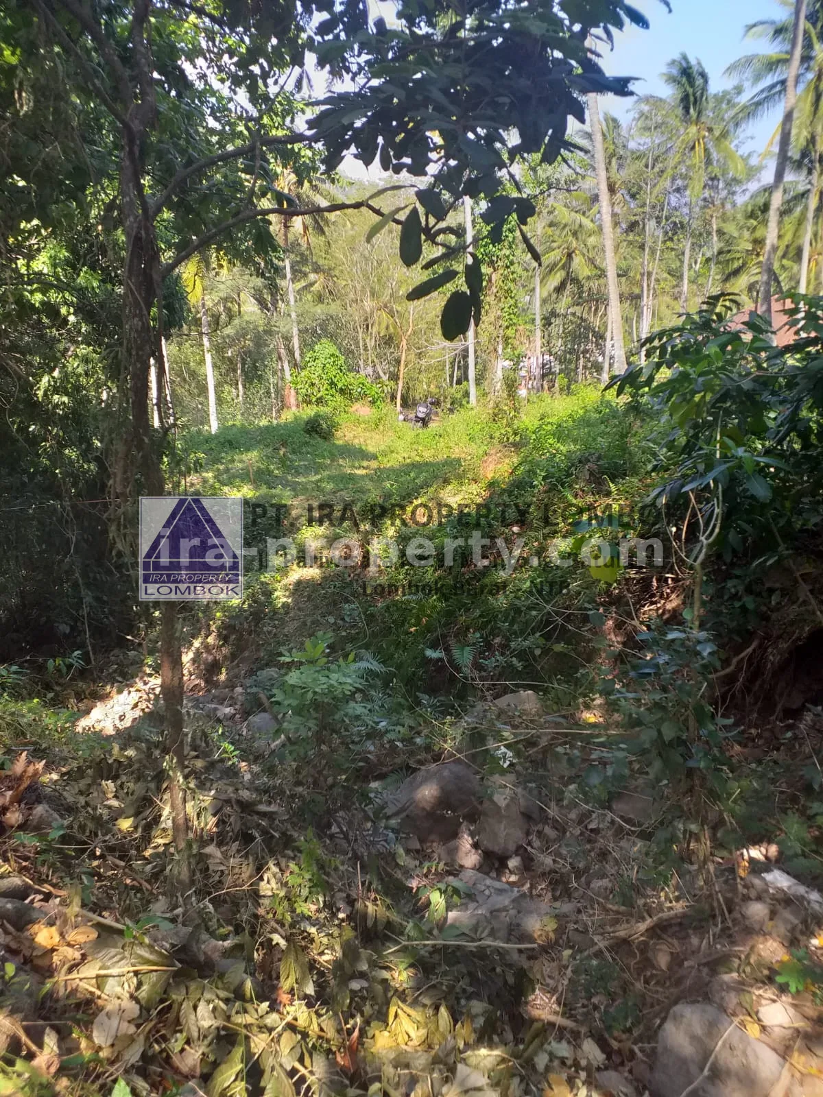 Land for Sale Near Senggigi, Kerandangan Tourist Area