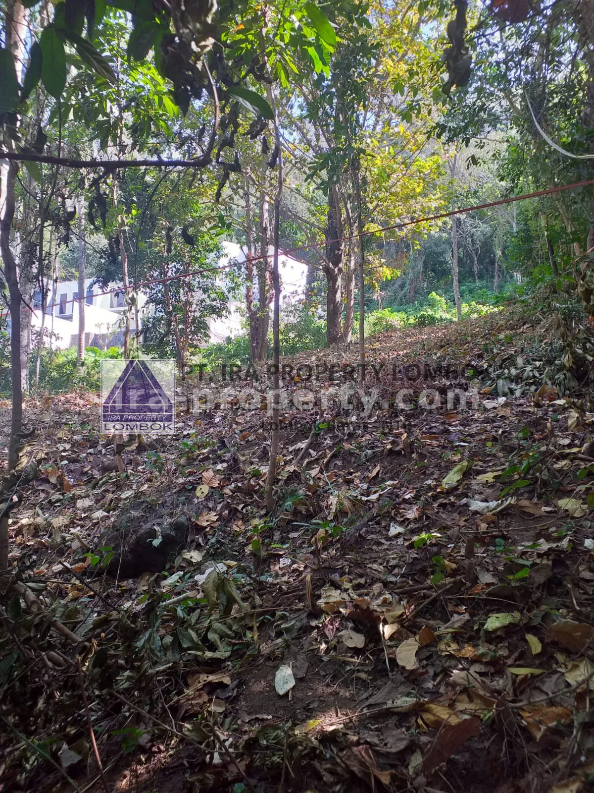 Land for Sale Near Senggigi, Kerandangan Tourist Area